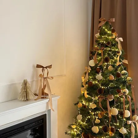 Homeyhome Strasbourg Appartement Schiltigheim